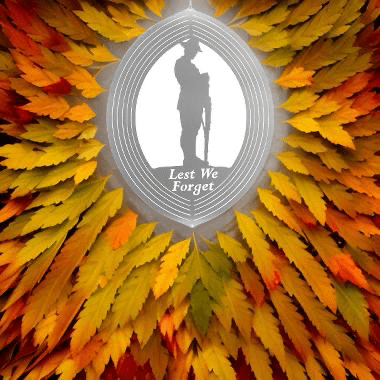 Lest We Forget Stainless Steel Wind Spinner