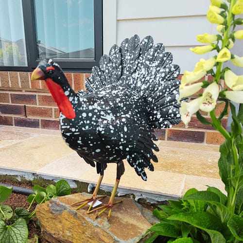 Tula the Turkey